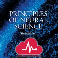 Principles of Neural Science